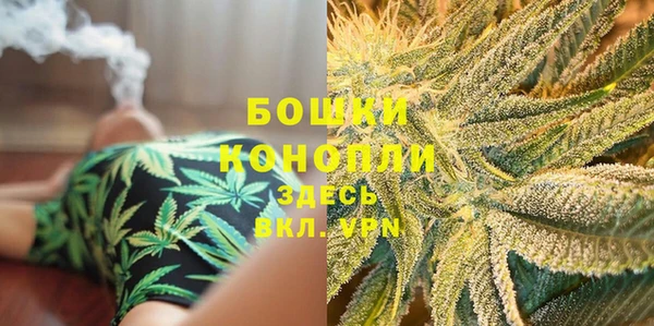 ГАЛЛЮЦИНОГЕННЫЕ ГРИБЫ Щучье