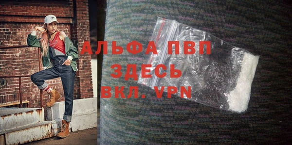 ГАЛЛЮЦИНОГЕННЫЕ ГРИБЫ Щучье